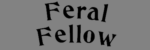 feralfellow.com